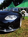 Click image for larger version

Name:	spyker5.jpg
Views:	397
Size:	86.3 KB
ID:	57652