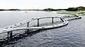 Click image for larger version

Name:	pearl-river-necklace-bridge.jpg
Views:	299
Size:	36.8 KB
ID:	66148